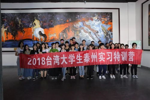 臺灣大學生泰州行走進多勝文化藝術生活廣場 兩岸文化交流其樂融融
